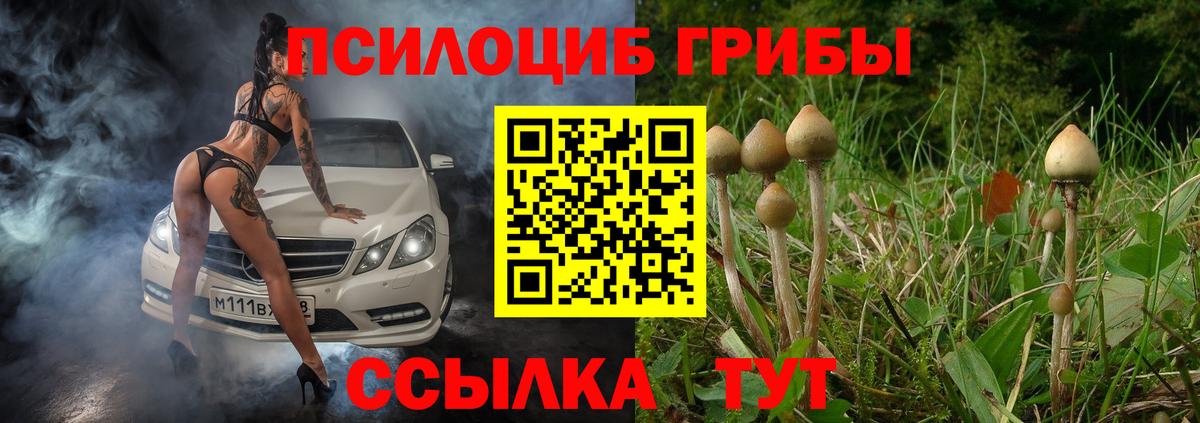цена   Вход с VPN  Миасс  Галлюциногенные грибы прущие грибы 